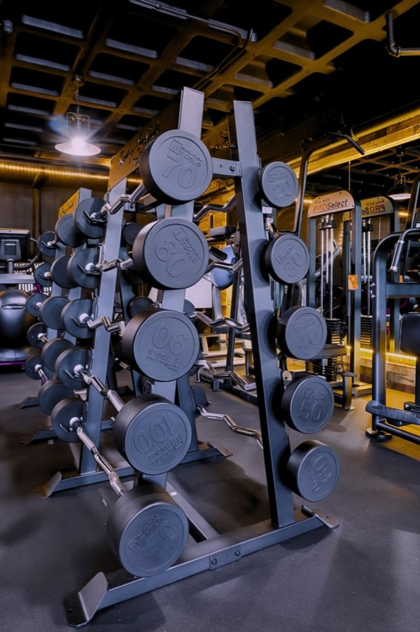 Rack of fixed-weight straight and EZ curl barbells next to cable machines