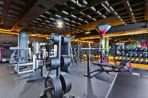 Olympic plate trees and selectorized machines across the main gym floor