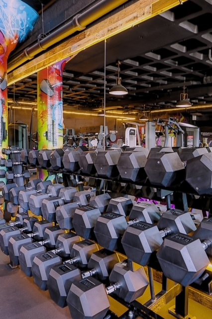 Full dumbbell rack running along the mural wall of the BodyByFlo weight floor